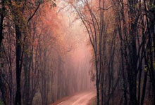 国足一天两练 全力以赴备战世预赛.