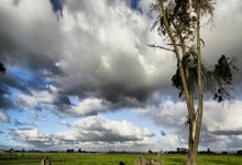 [英超]穆德里克角球开出 马杜埃凯头球破门.