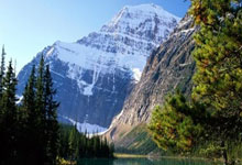 意昂体育官方：舍夫勒披露大师赛冠军晚宴菜单 选择得州家乡风味.